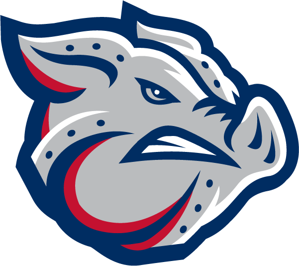 Lehigh Valley IronPigs 2008-Pres Alternate Logo iron on paper